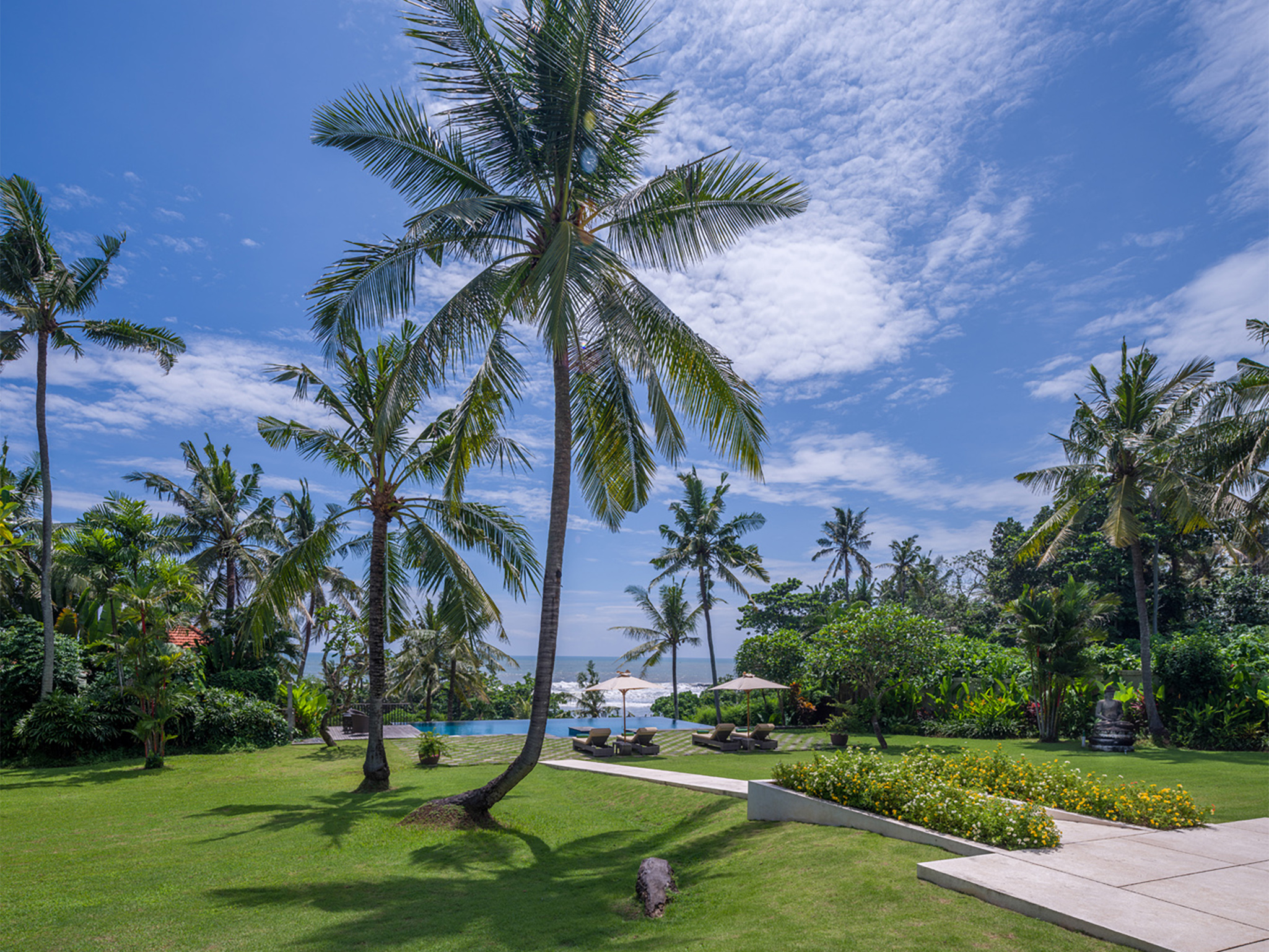 Villa Kailasha - Towering coconut trees - Villa Kailasha, Tabanan, Bali